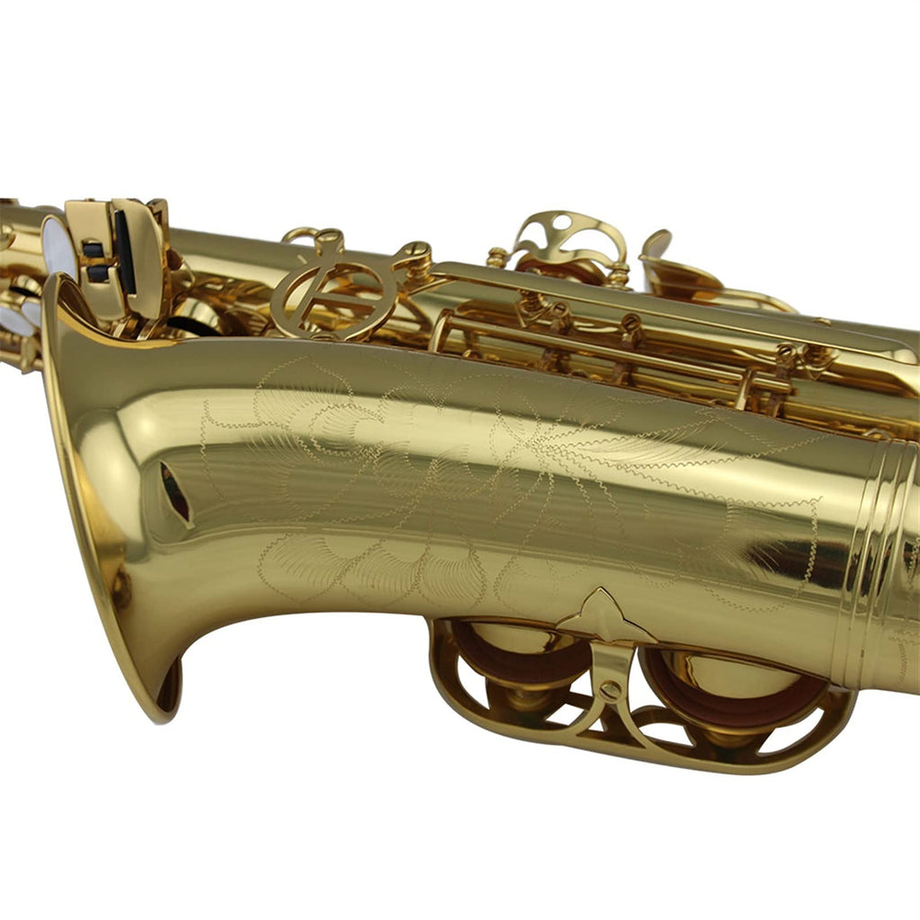 Gold Lacquer Alto Saxophone Set B65122