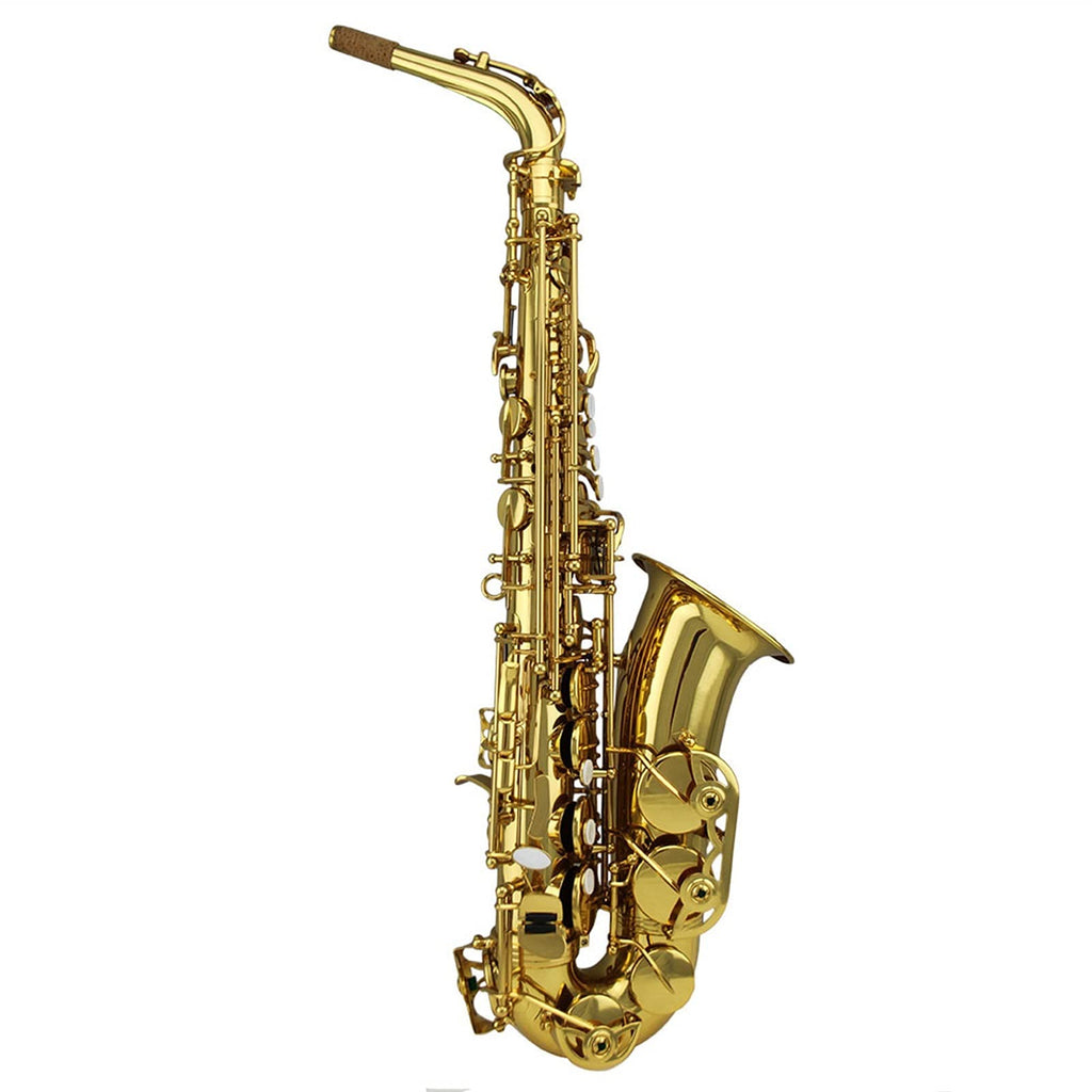 Gold Lacquer Alto Saxophone Set B65122