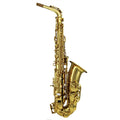 Gold Lacquer Alto Saxophone Set B65122