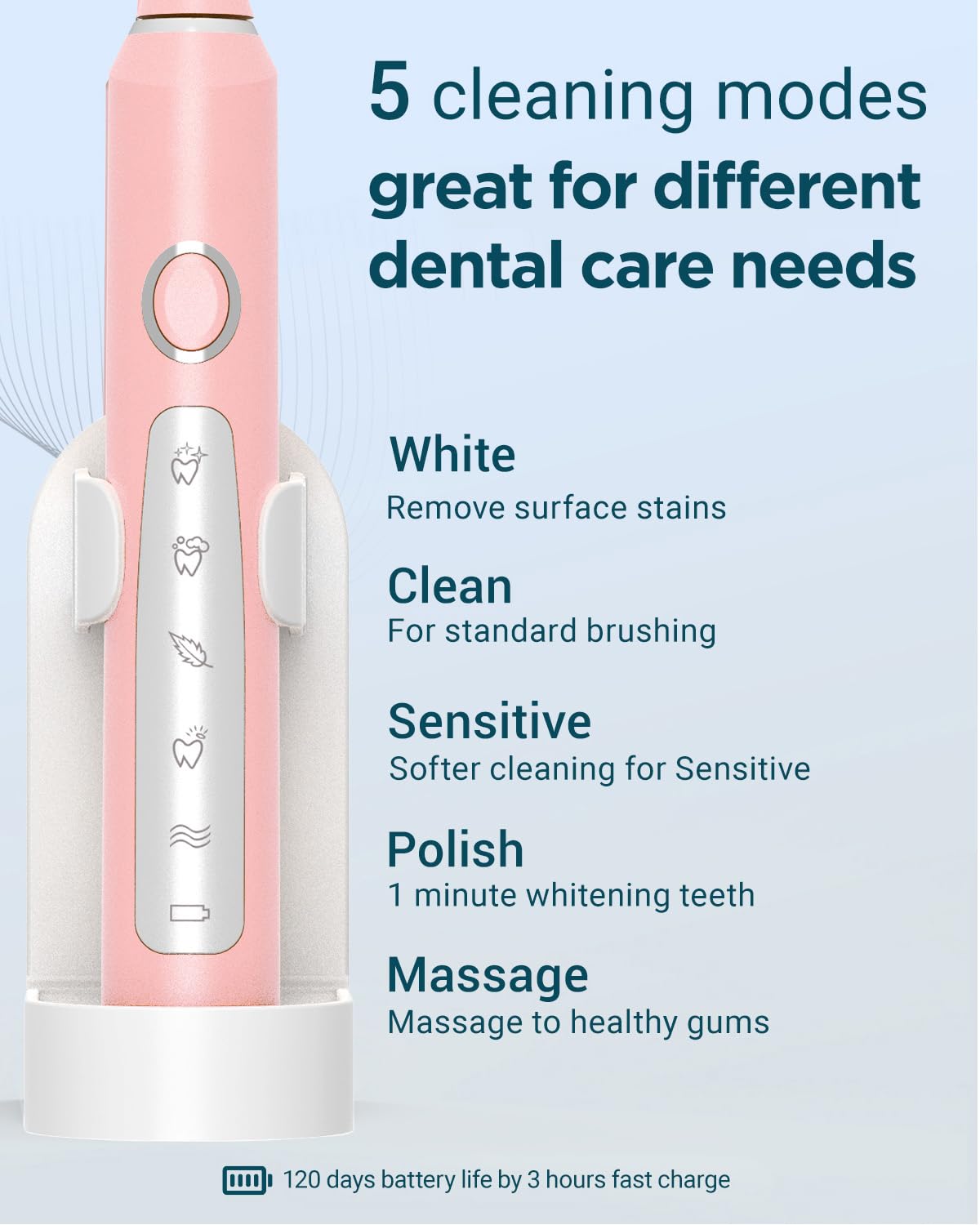 2 Pack Rechargeable Electric Toothbrush with 12 Brush Heads & 2 Travel Case R59655
