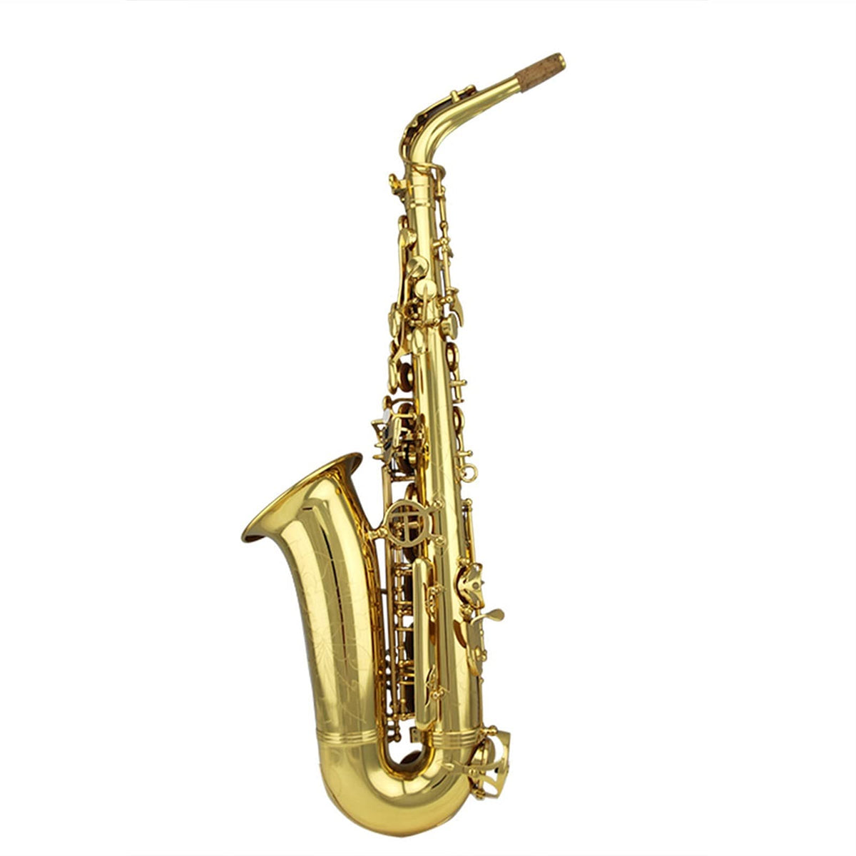 Gold Lacquer Alto Saxophone Set B65122