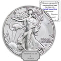 1 oz American Silver Eagle Coin Z1718