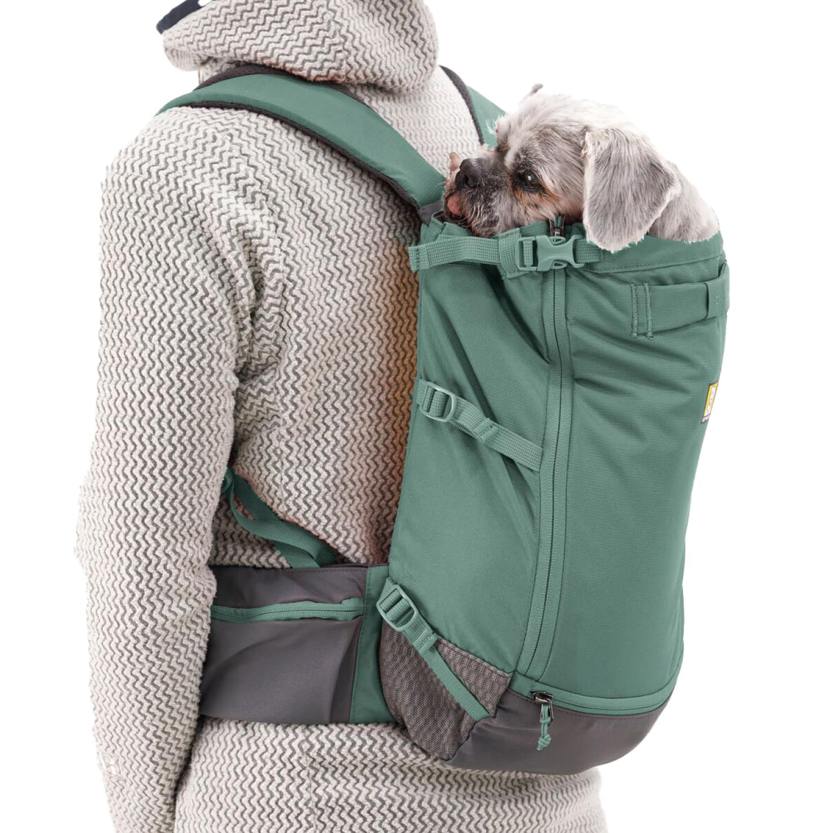 Dog Backpack Carrier S1446
