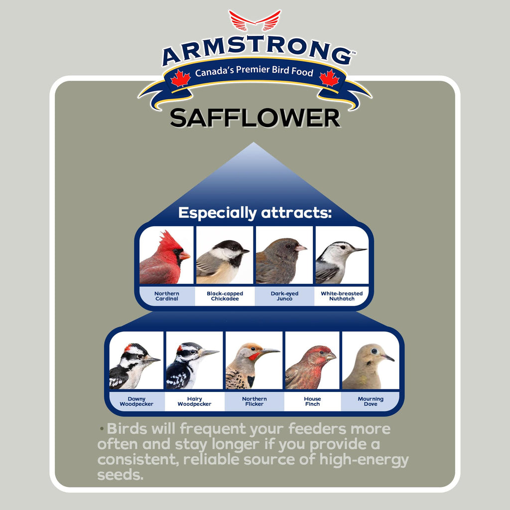Safflower Bird Seed 20 Pounds Pack of 2 D15325