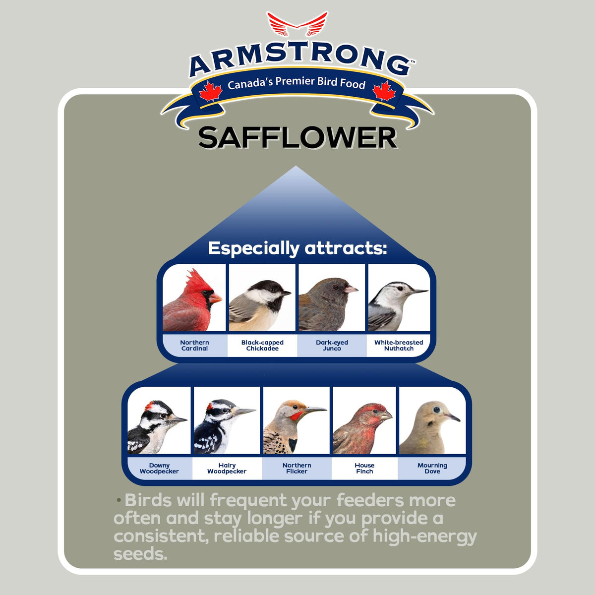 Safflower Bird Seed 20 Pounds Pack of 2 D15325