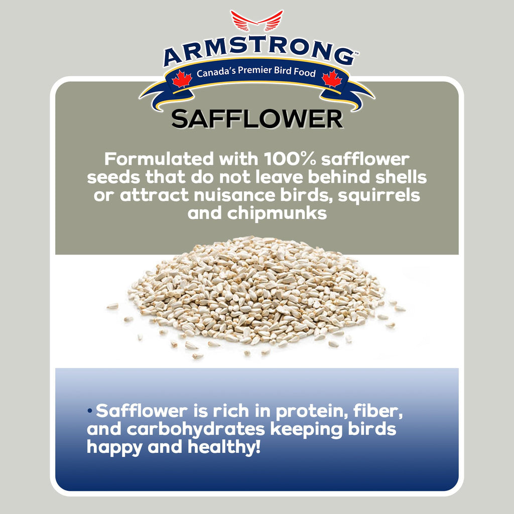 Safflower Bird Seed 20 Pounds Pack of 2 D15325