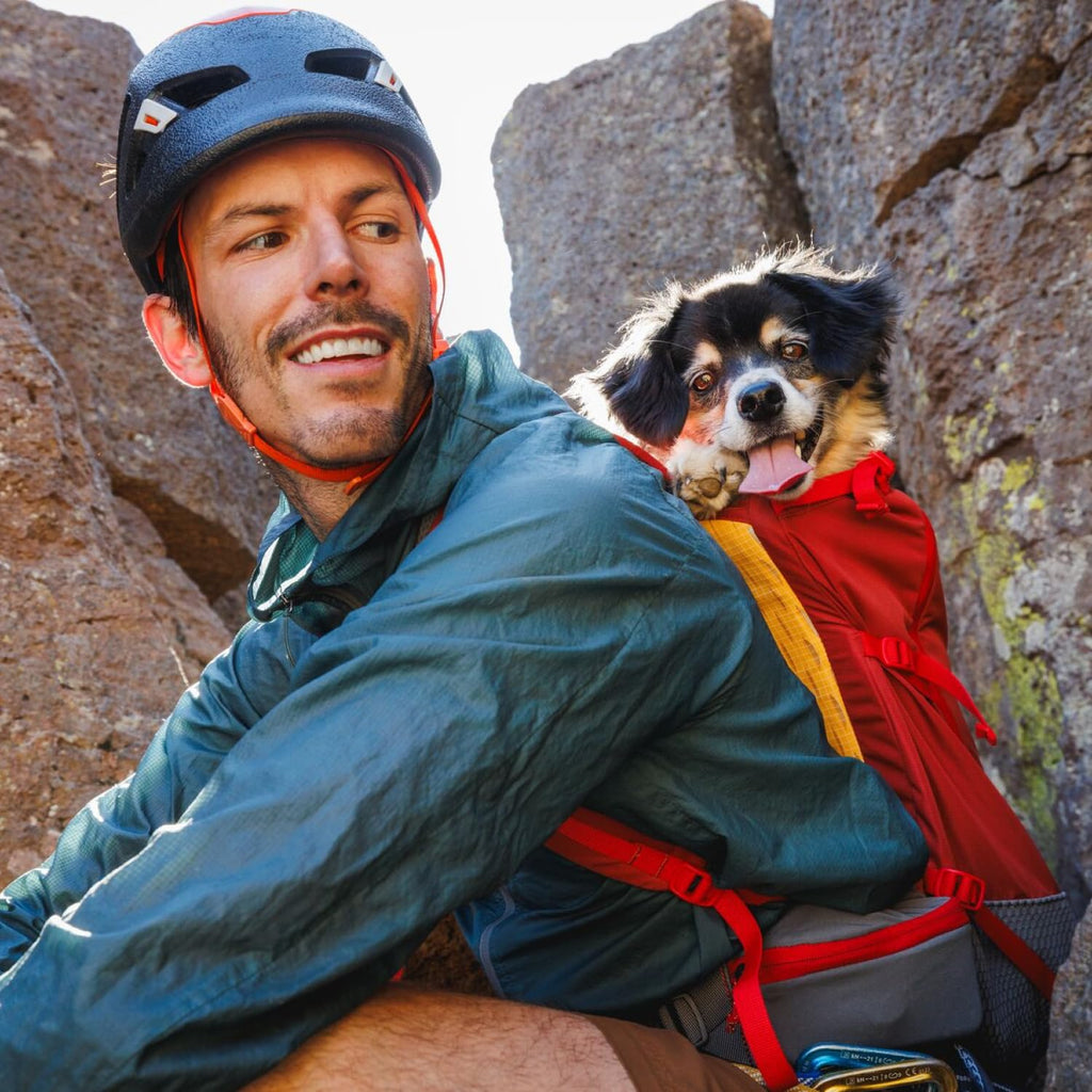 Dog Backpack Carrier S1446