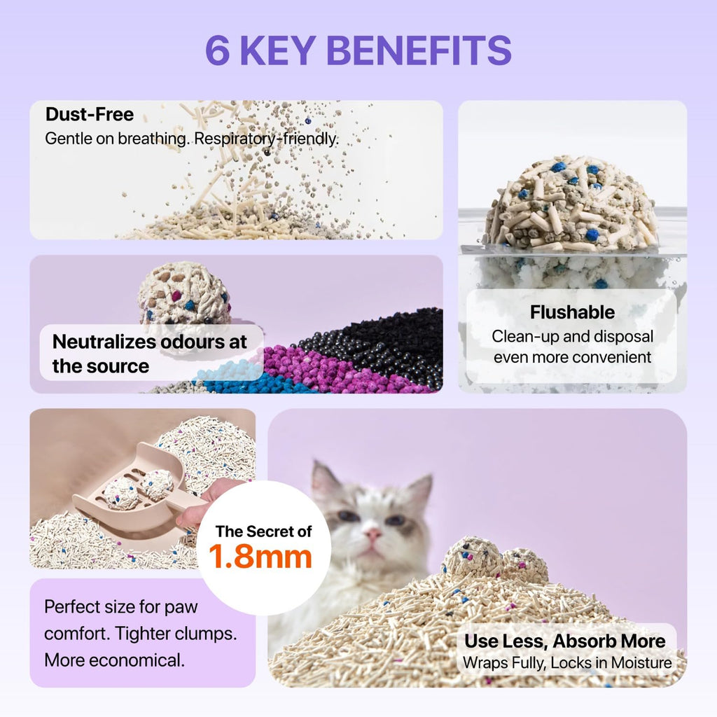 Mixed Tofu Cat Litter 5.5Lb 4 Pack T175682