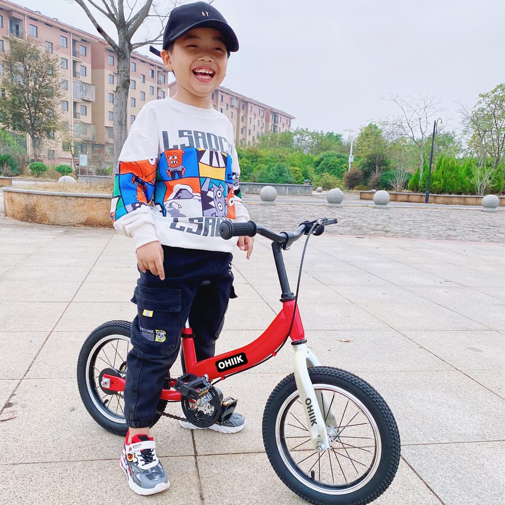 2 in 1 Balance Bike with Pedal Kit, Training Wheels, Brakes E32163