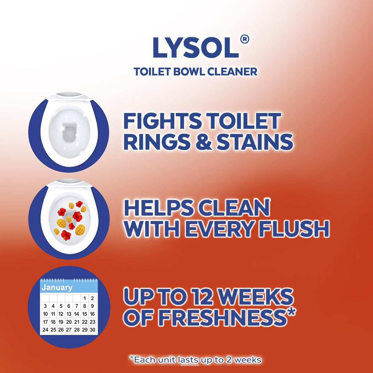 Mango Gel Toilet Bowl Cleaner 6 Count V74252