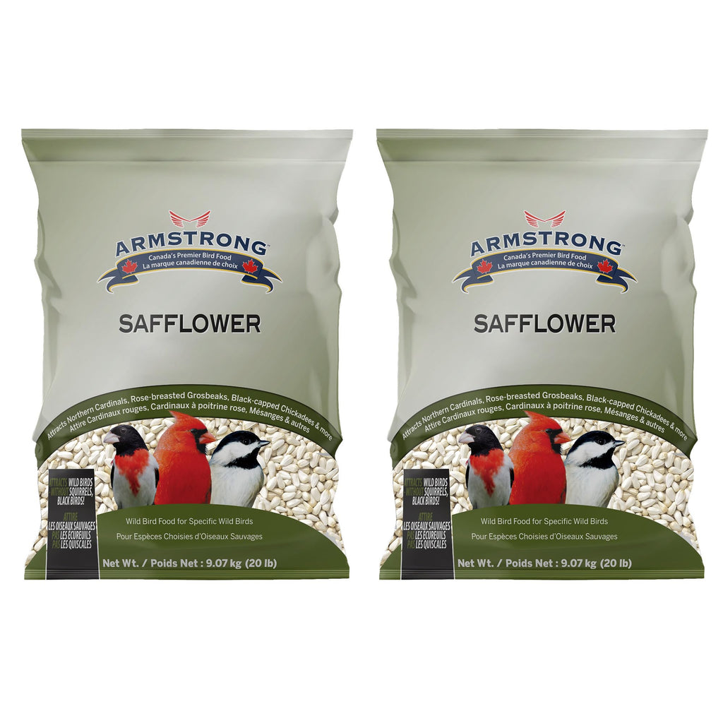 Safflower Bird Seed 20 Pounds Pack of 2 D15325