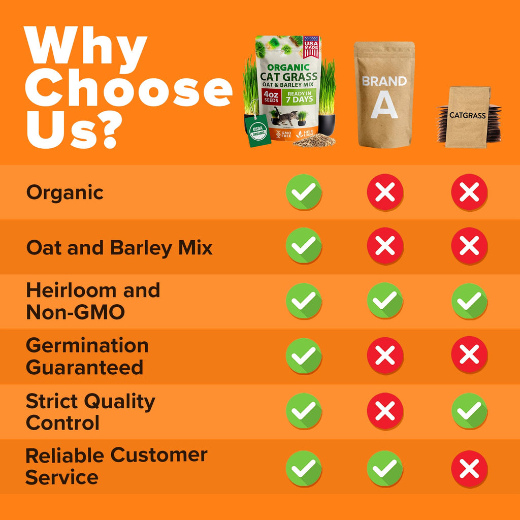 Organic Cat-Grass Seed Mix 4 oz U751415