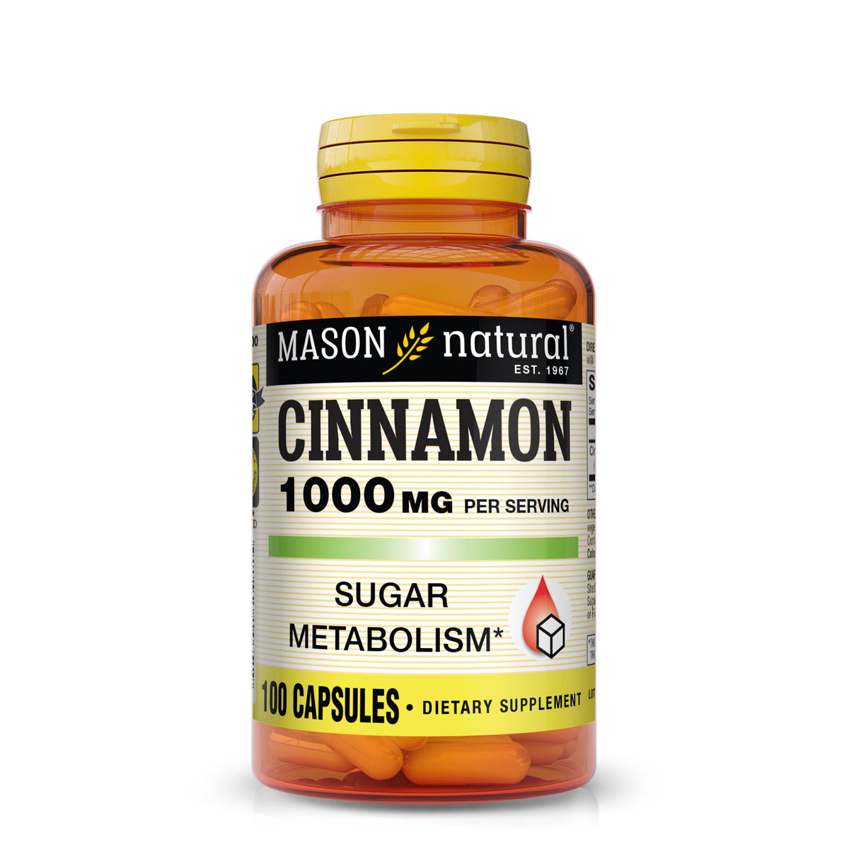 Cinnamon 1000 mg 100 Capsules Herbal Dietary Supplement Y697813