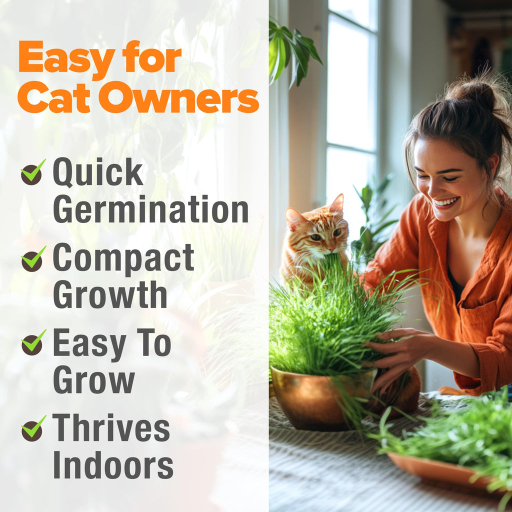 Organic Cat-Grass Seed Mix 4 oz U751415