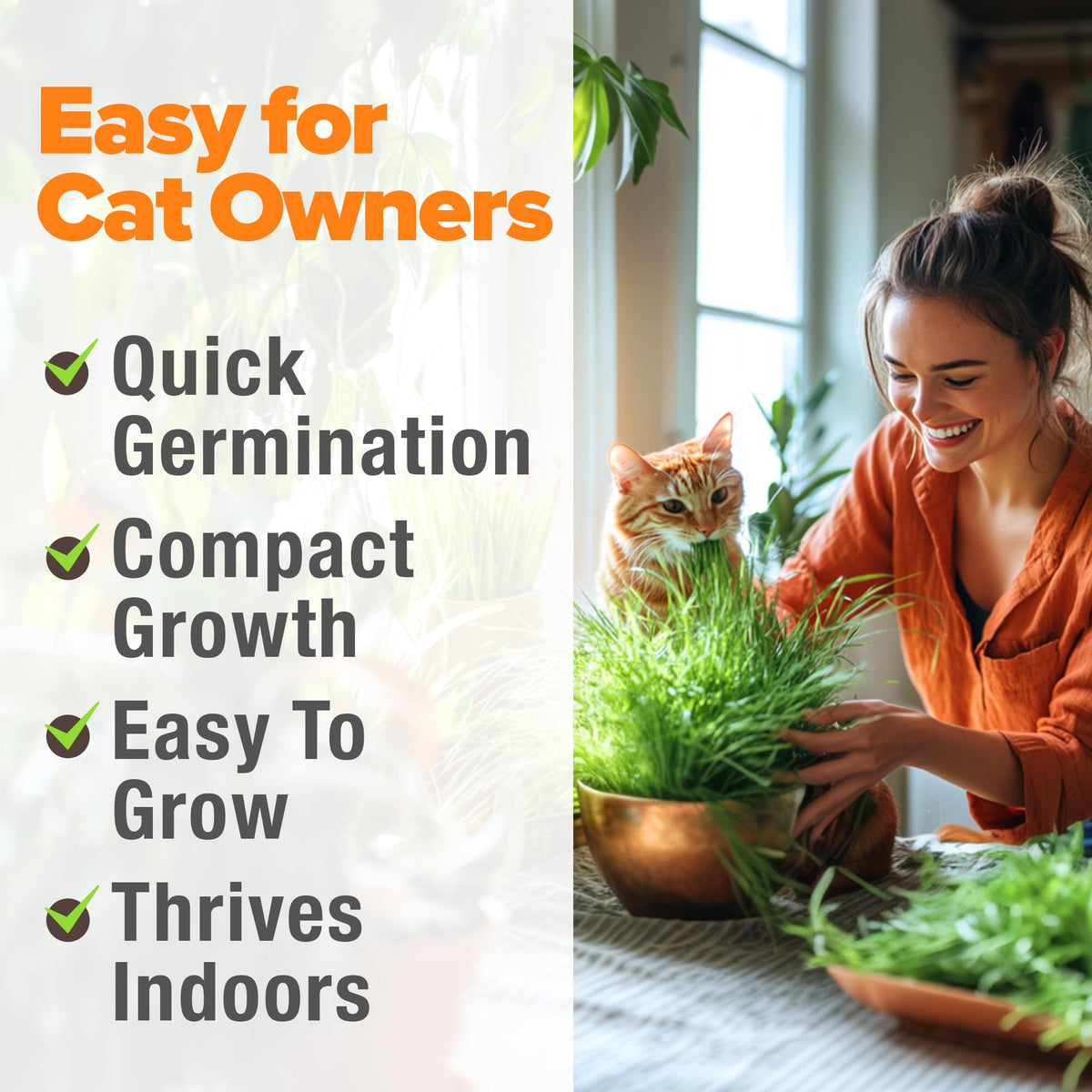 Organic Cat-Grass Seed Mix 4 oz U751415