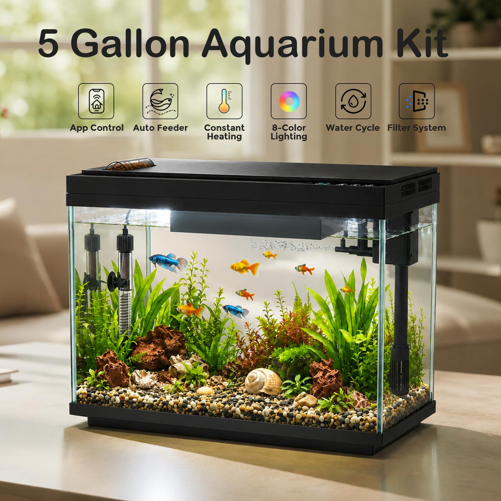5 Gallon Aquarium Kit Ultra-White Glass I915987