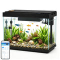 5 Gallon Aquarium Kit Ultra-White Glass I915987