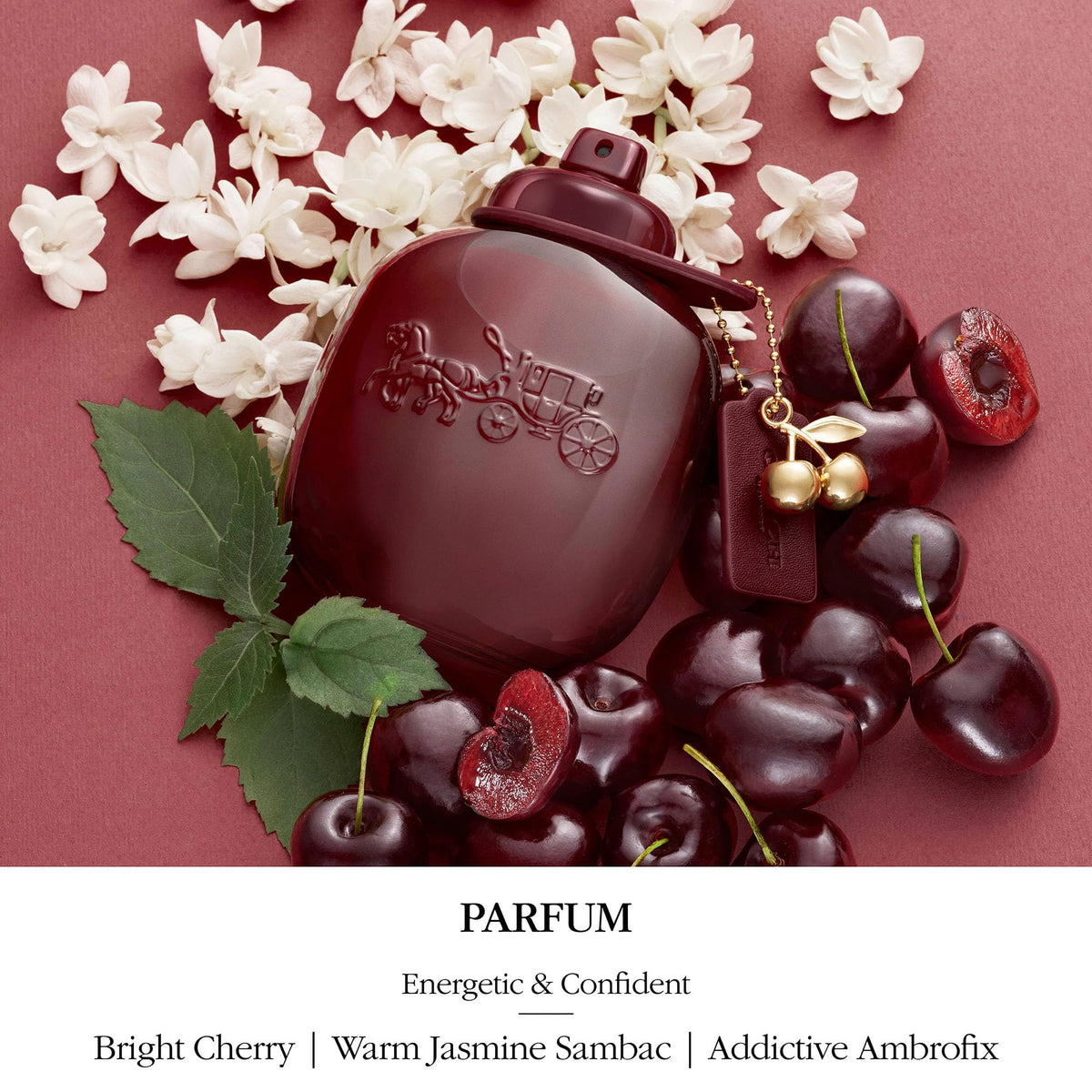 Cherry Floral Chypre Fruity Women's Fragrance N9865