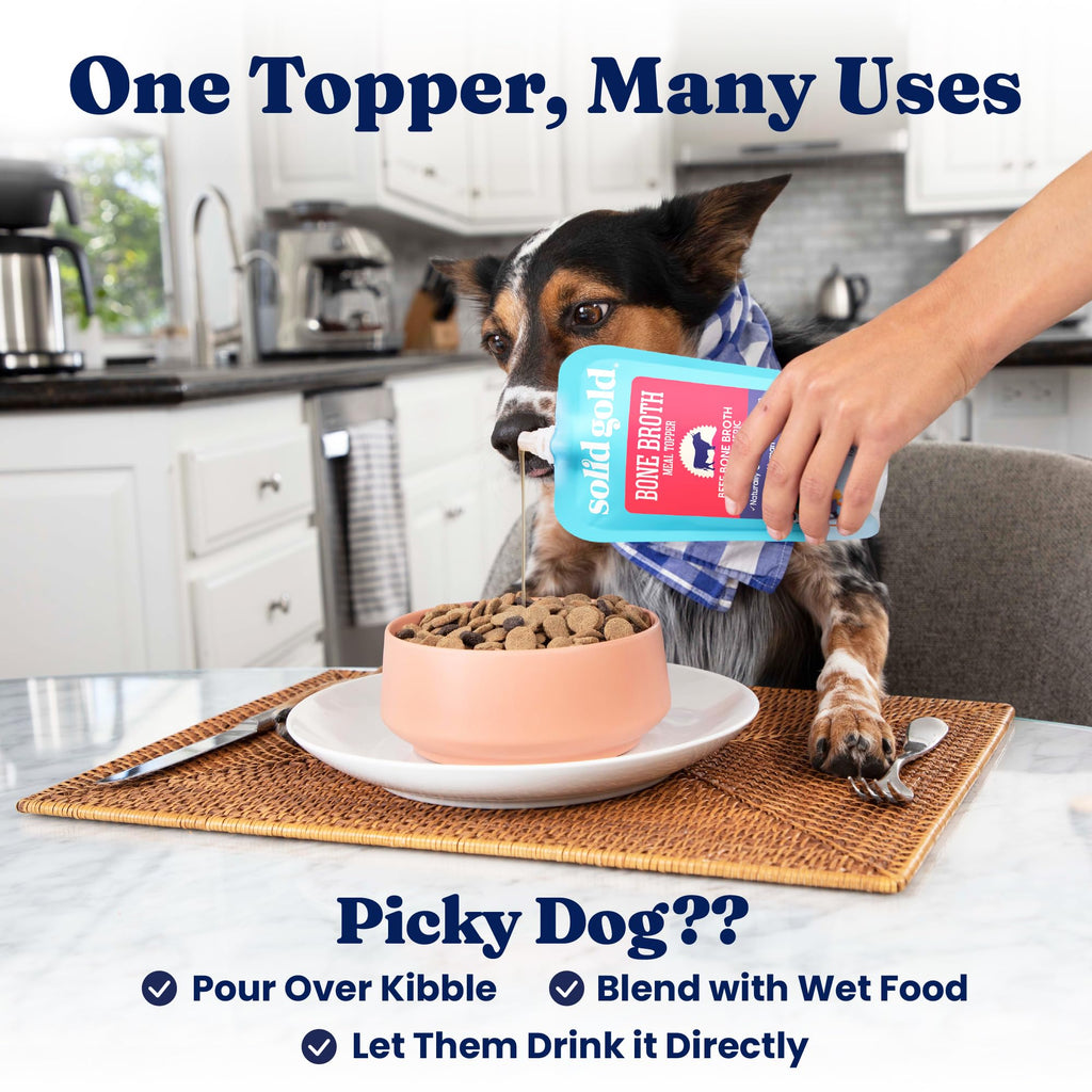 Solid Gold Beef Bone Broth for Dogs R60491