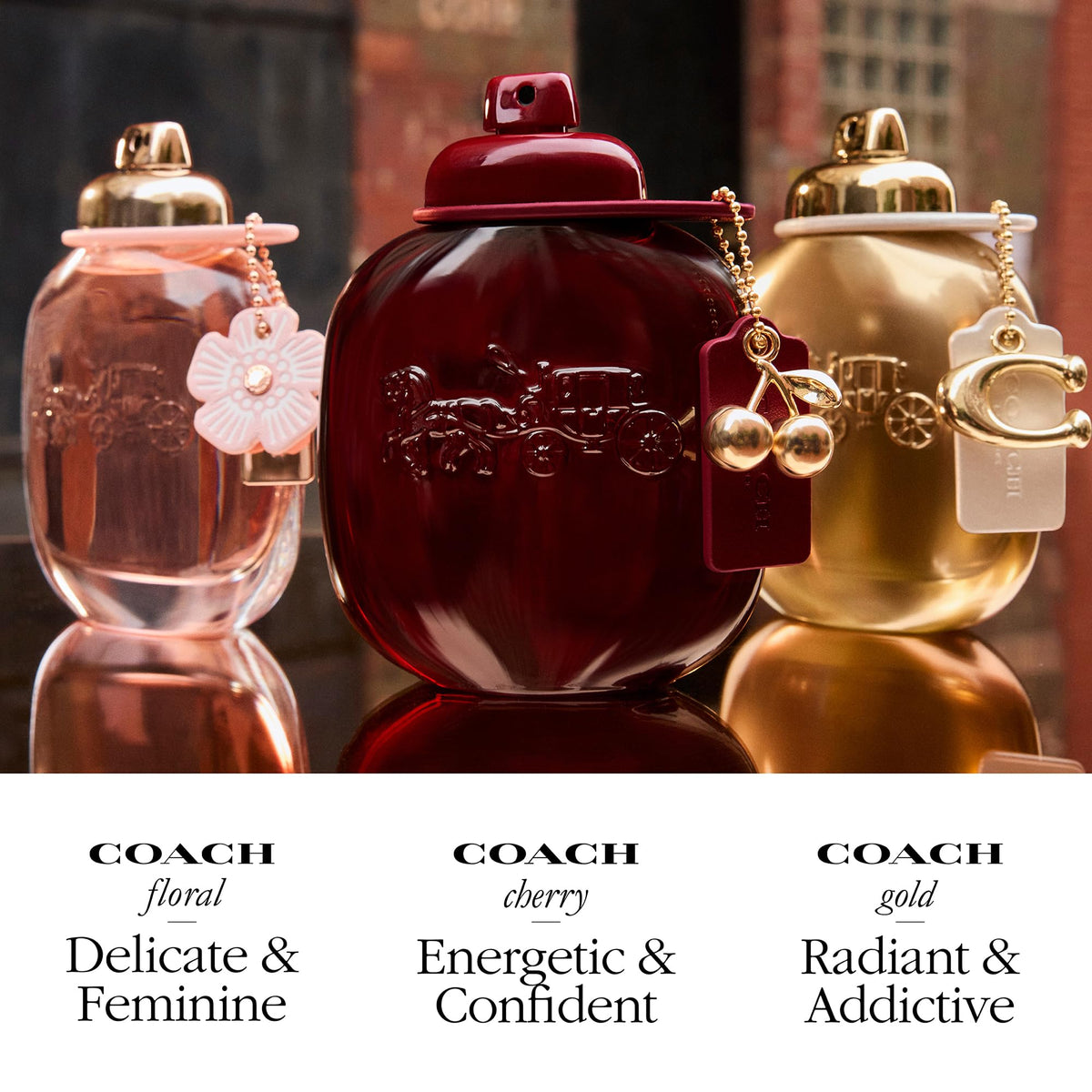 Cherry Floral Chypre Fruity Women's Fragrance N9865