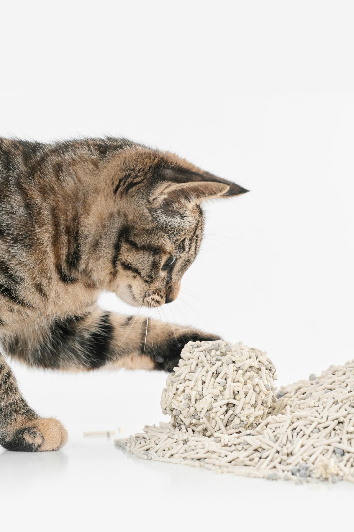 Tofu Cat Litter with Bentonite Clumping Plant Based 4Pack C951559