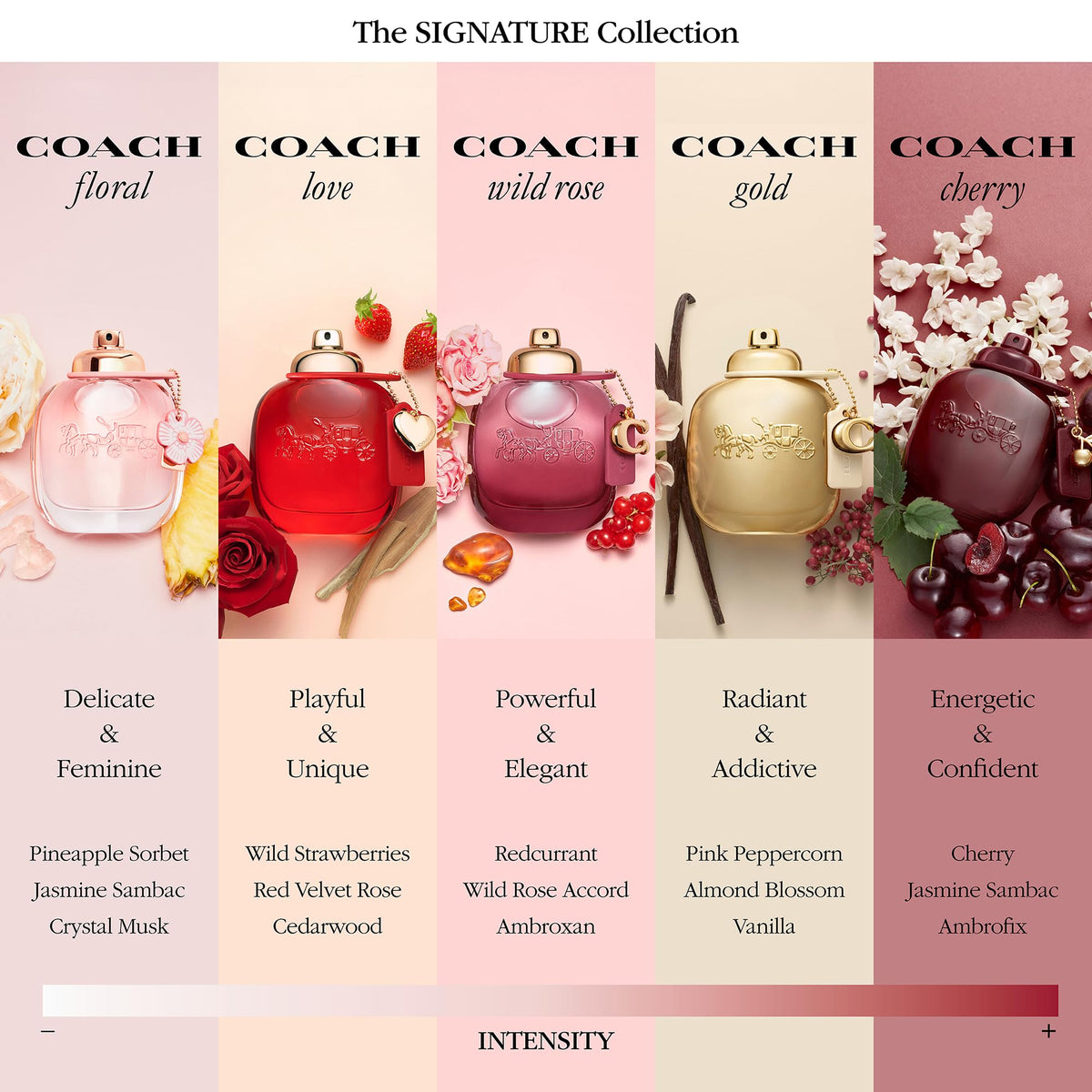 Cherry Floral Chypre Fruity Women's Fragrance N9865