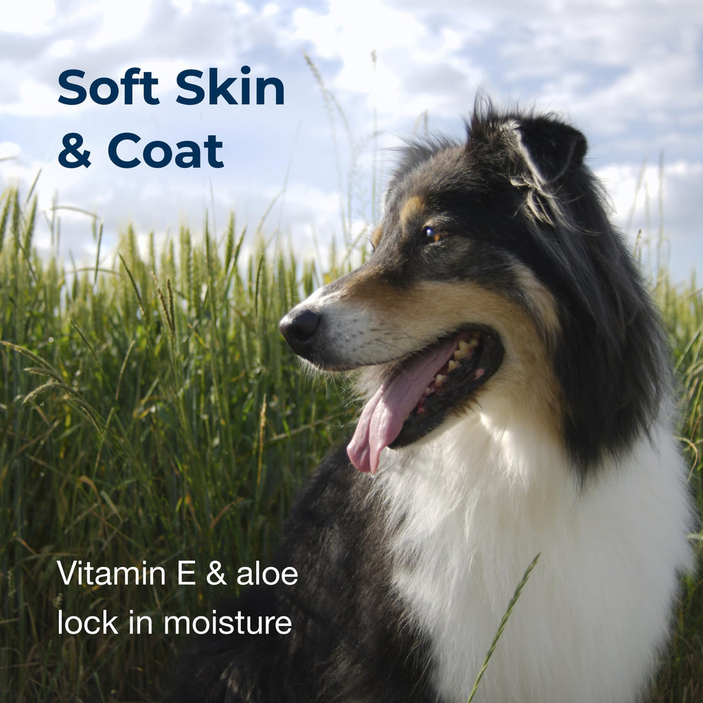 Linen Scented Shampoo 1 Gallon with Vitamin E & Aloe Vera Q317