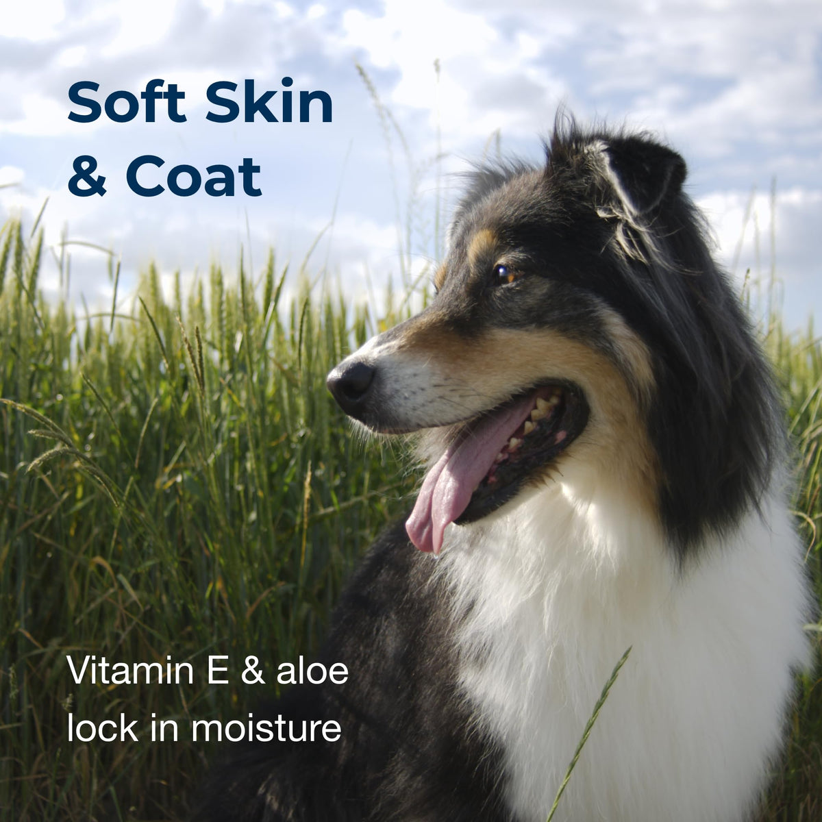 Linen Scented Shampoo 1 Gallon with Vitamin E & Aloe Vera Q317