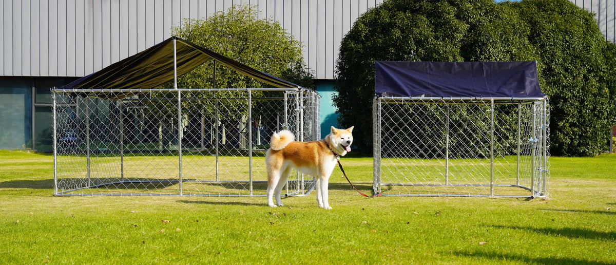Outdoor Dog Kennel Steel Fence with Secure Lock 78”x 78” U991